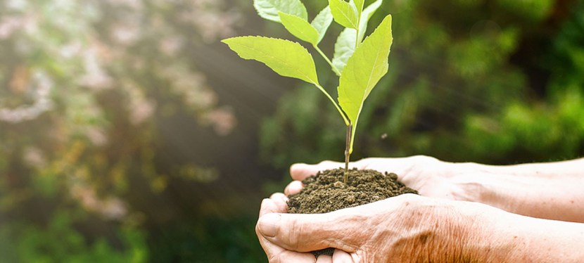 Passing on the&nbsp;Blessing