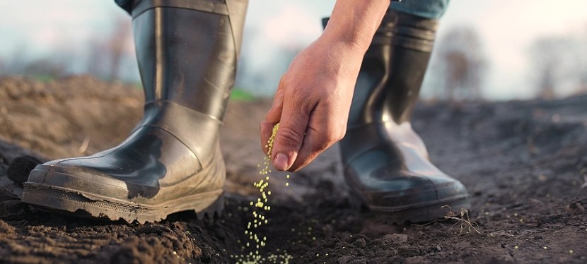 The Practice of Beginning&nbsp;Again