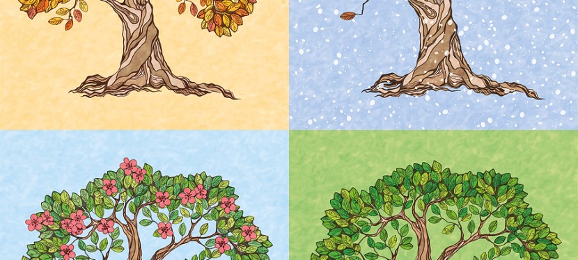 Chapter 6 – There is a&nbsp;Season