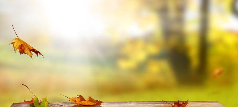 Falling Upward – our Fall 2025&nbsp;Study