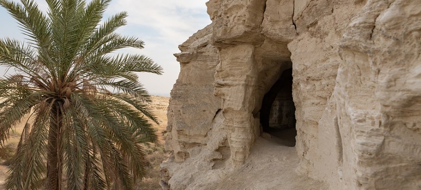 A Word from the&nbsp;Desert